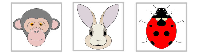 animal compassé et construction géométrique en maths