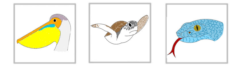 animal polygonal et dessin géométrique en maths