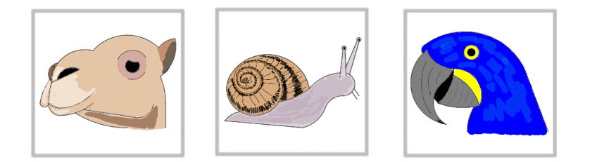 animal compassé et dessin géométrique en maths