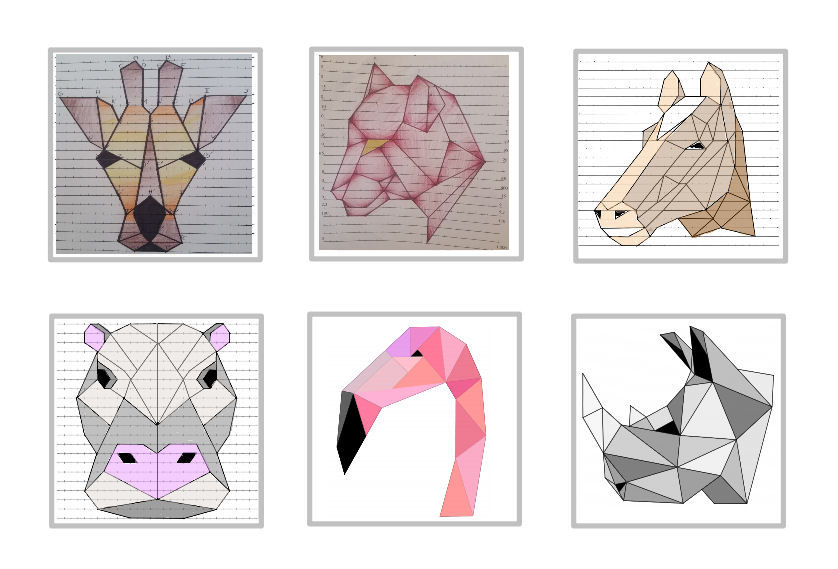 animal polygonal et construction en mathématiques